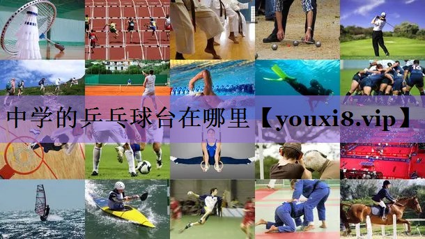 中学的乒乓球台在哪里